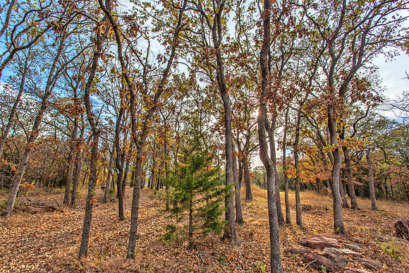 Sugar Hill, Lot 16