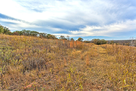 Sugar Hill, Lot 16