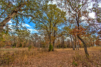 Sugar Hill, Lot 16