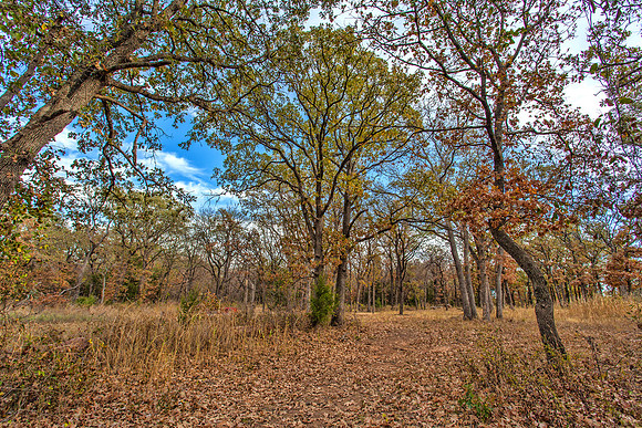 Sugar Hill, Lot 16