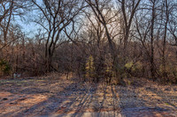 Nonesuch Property