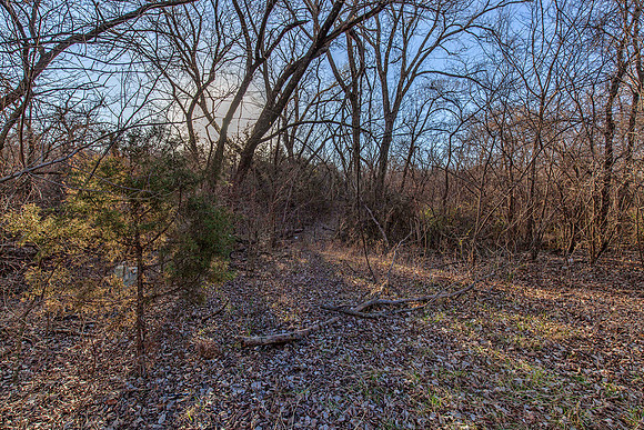 Nonesuch Property