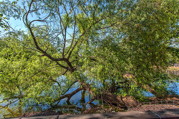 31_