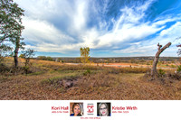 Sugar Hill, Lot 16