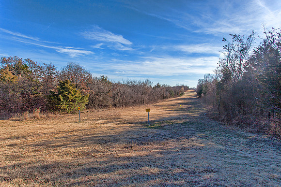 Green Belt