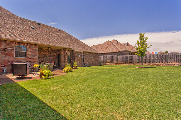 Back yard