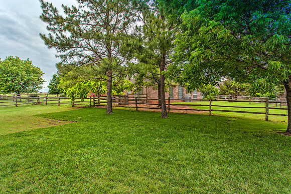 35_Backyard