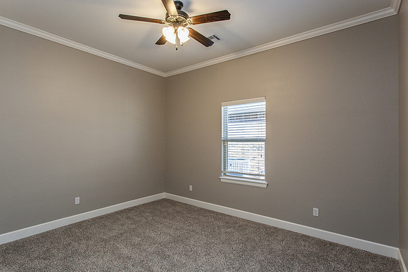 IMG_0650