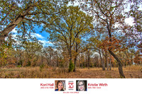 Sugar Hill, Lot 16