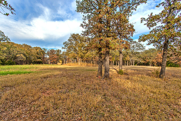 Sugar Hill, Lot 16