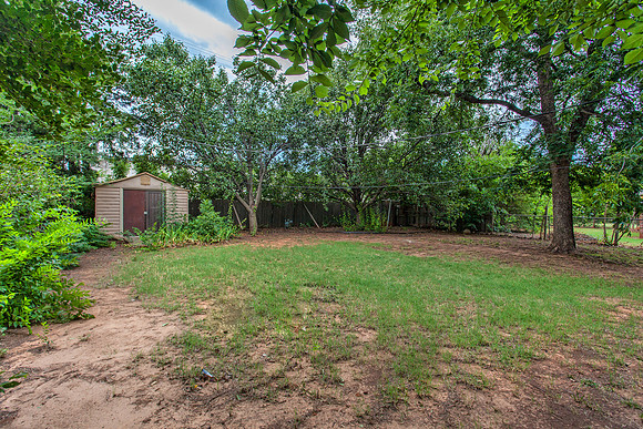 Backyard