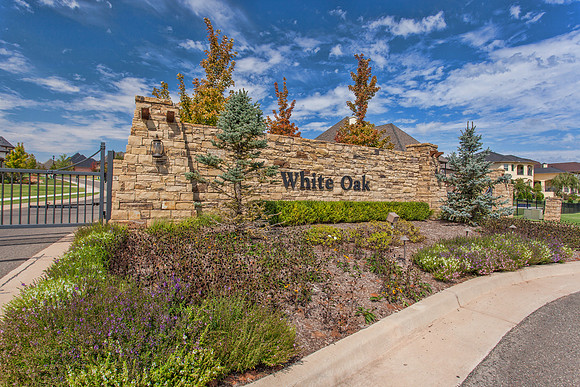 White Oak