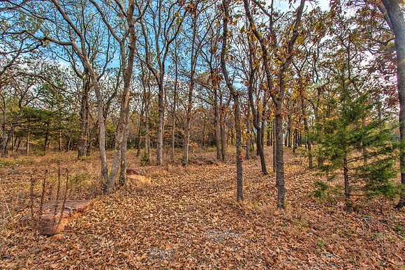 Sugar Hill, Lot 16