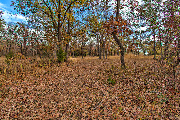 Sugar Hill, Lot 16