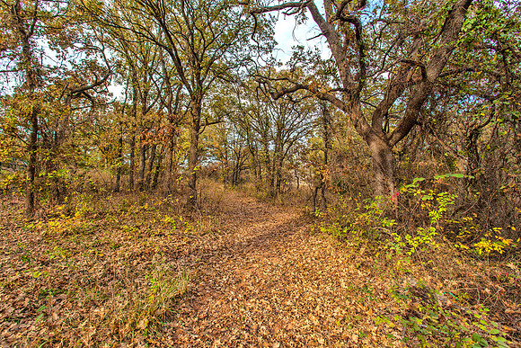 Sugar Hill, Lot 16