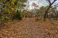 Sugar Hill, Lot 16