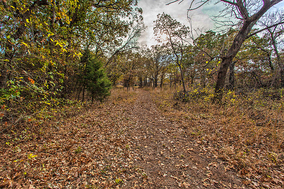 Sugar Hill, Lot 16