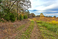Sugar Hill, Lot 16
