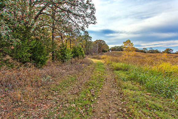 Sugar Hill, Lot 16