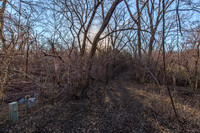 Nonesuch Property
