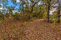 Sugar Hill, Lot 16
