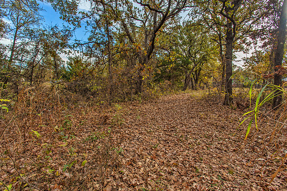 Sugar Hill, Lot 16