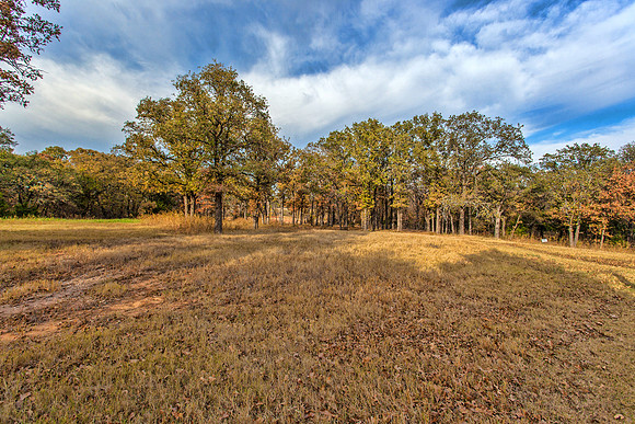 Sugar Hill, Lot 16