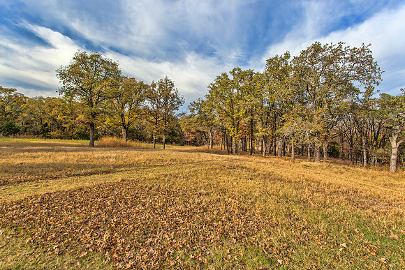Sugar Hill, Lot 16