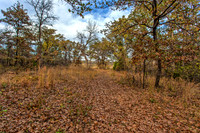Sugar Hill, Lot 16
