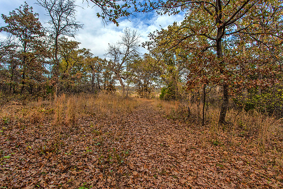 Sugar Hill, Lot 16